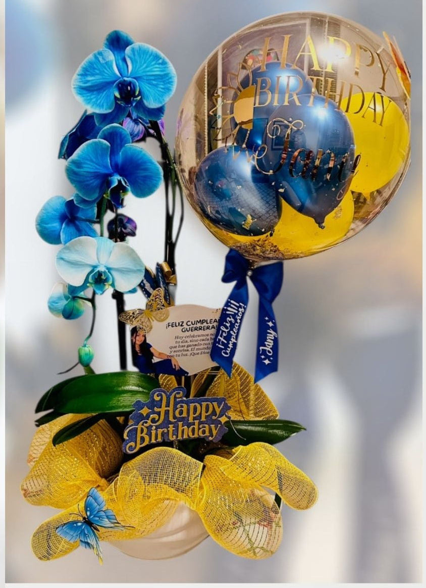 Orchid Elegance Collection | Fresh Orchid Arrangement with Custom Balloon | Local Miami Delivery