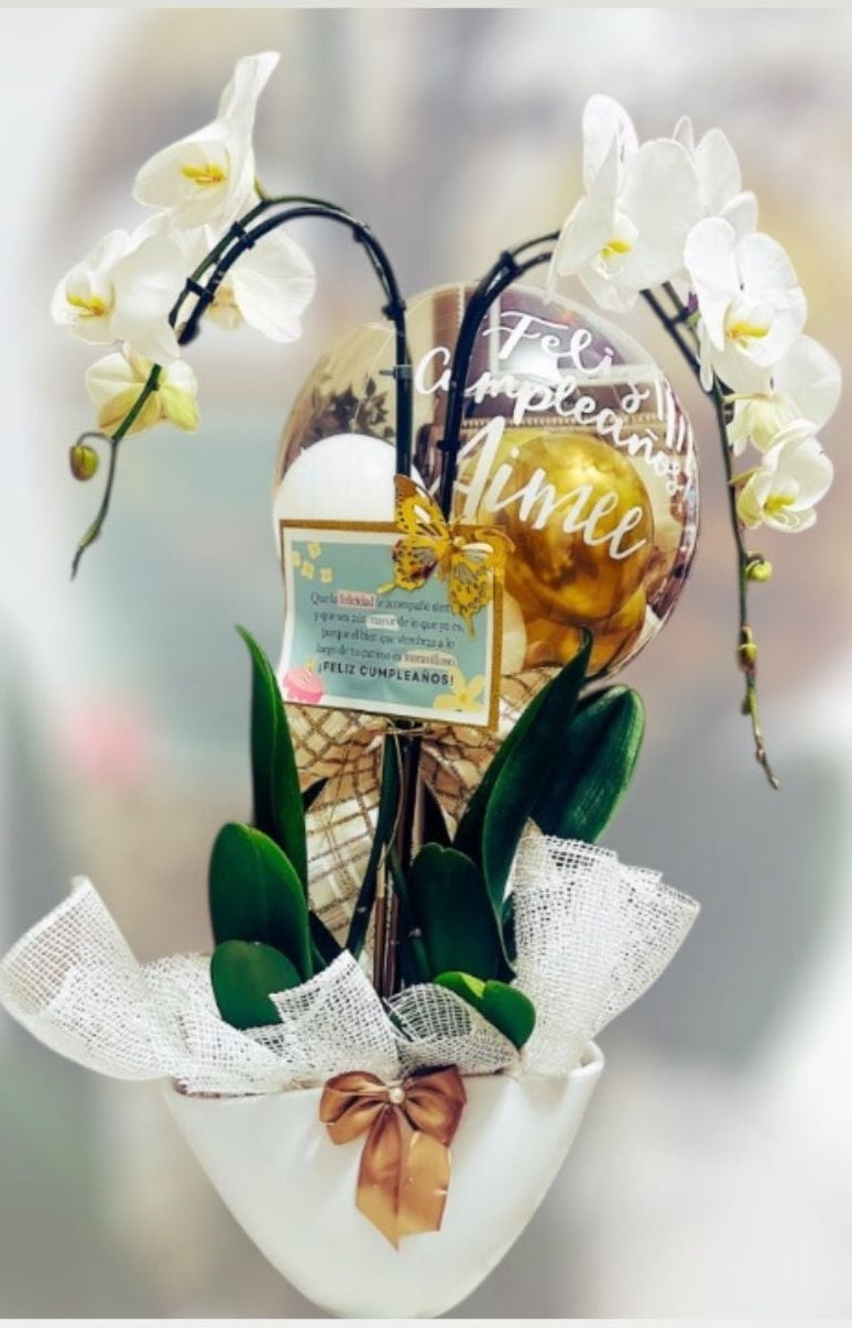 Orchid Elegance Collection | Fresh Orchid Arrangement with Custom Balloon | Local Miami Delivery